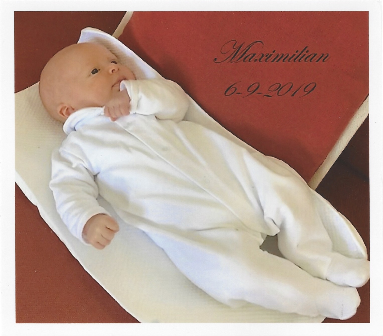 Birth of Archduke Maximilian Picture